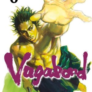 Vagabond vol. 6