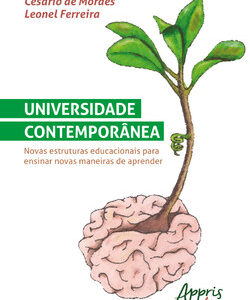 Universidade contemporânea: novas estruturas educacionais para ensinar novas maneiras de aprender