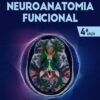 Neuroanatomia funcional