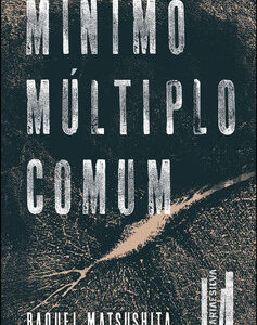 Mínimo múltiplo comum