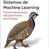 Projetando sistemas de machine learning processo interativo para aplicações prontas para produção