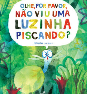 Olhe, por favor, não viu uma luzinha piscando?