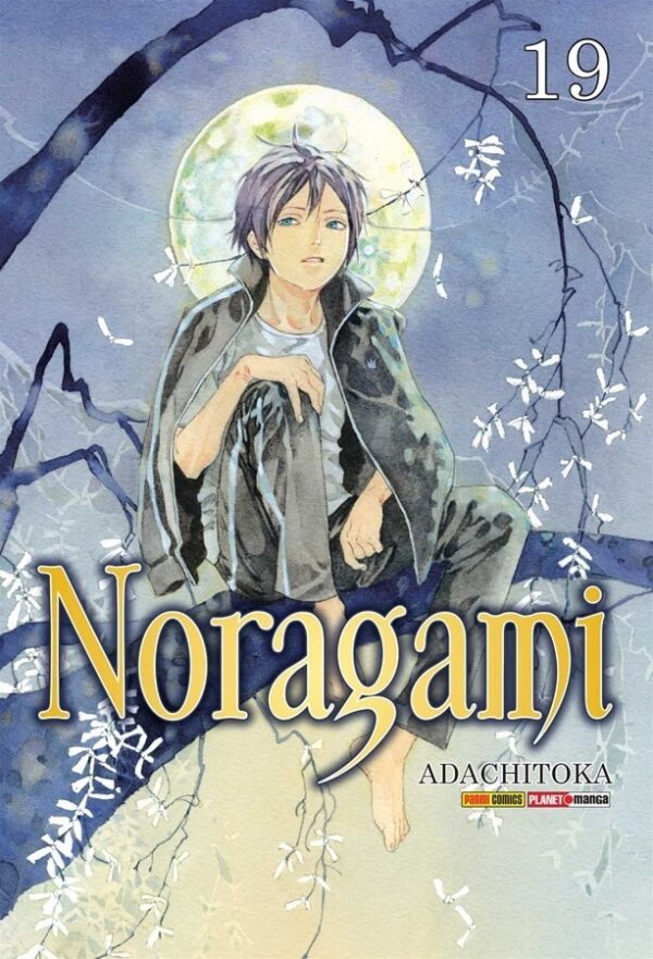 Noragami vol. 19