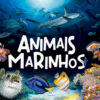 Animais marinhos